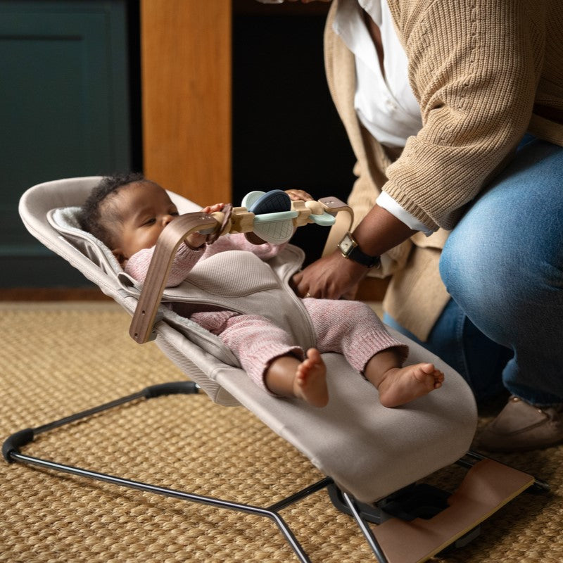 UPPAbaby Travel + In-home Gear
