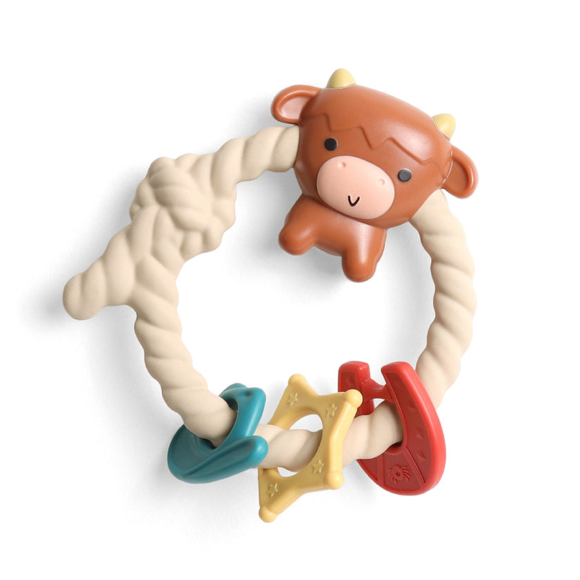 Itzy Ritzy Ritzy Rattle Teethers