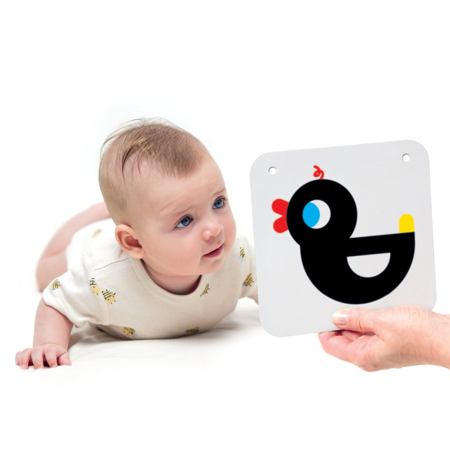 Banana Panda High Contrast Baby Cards