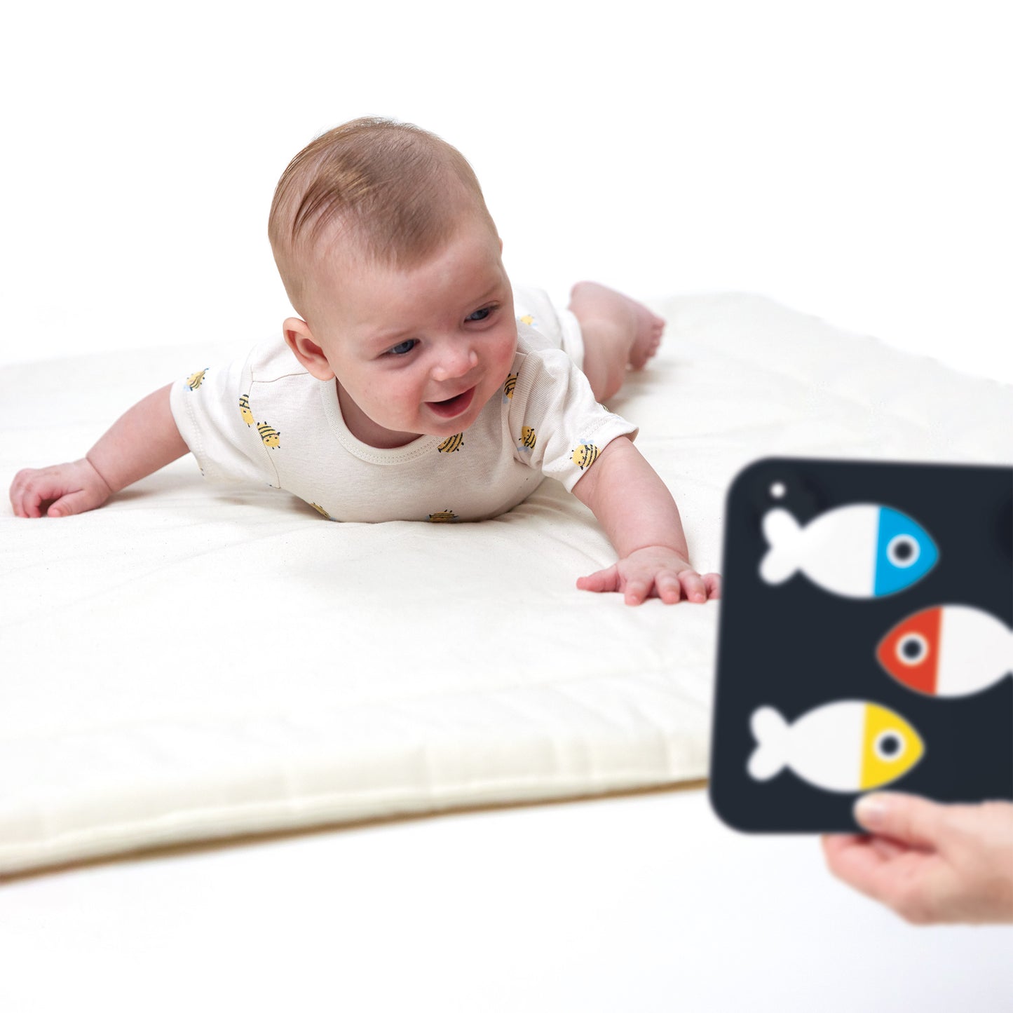 Banana Panda High Contrast Baby Cards