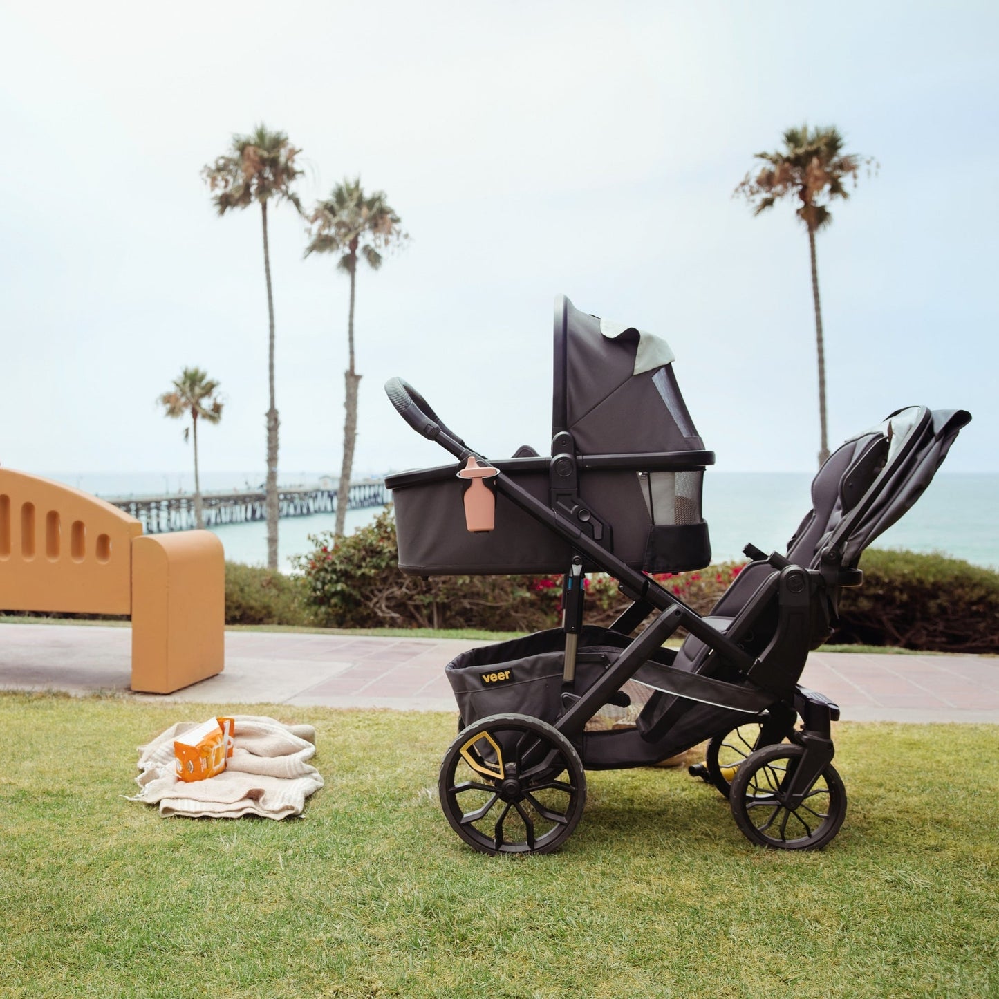 Veer Bassinet