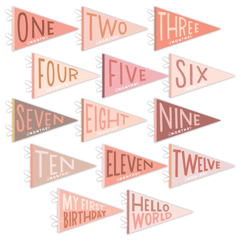 Lucy Darling Petit Milestone Pennants