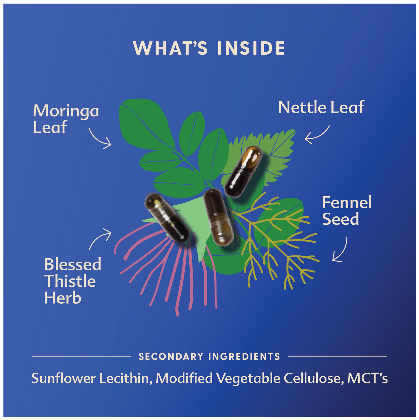 Motherlove More Milk Moringa