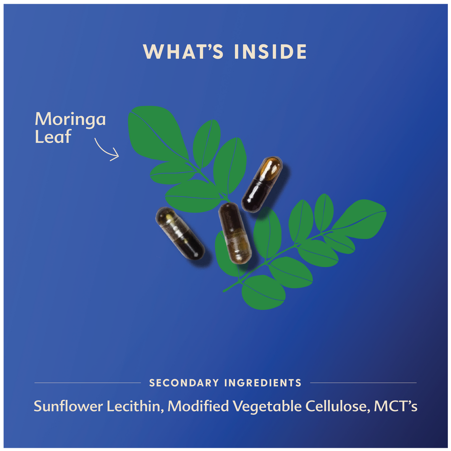 Motherlove Moringa (Malunggay)