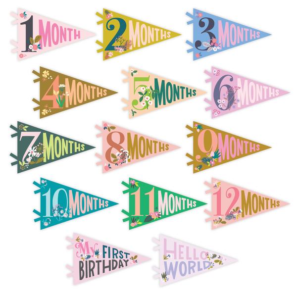 Lucy Darling Petit Milestone Pennants Lucy Darling - Babies in Bloom