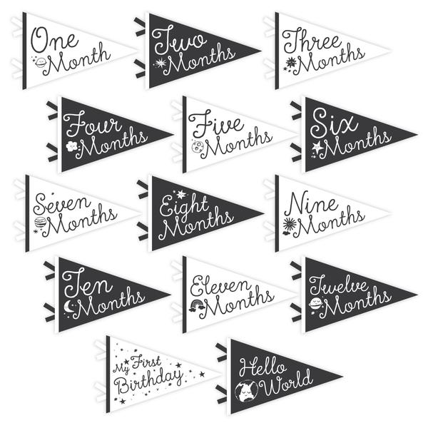 Lucy Darling Petit Milestone Pennants Lucy Darling - Babies in Bloom