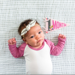 Lucy Darling Petit Milestone Pennants Lucy Darling - Babies in Bloom