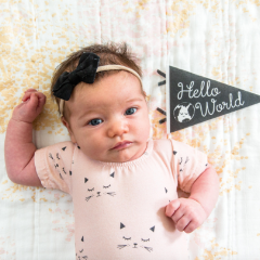 Lucy Darling Petit Milestone Pennants Lucy Darling - Babies in Bloom