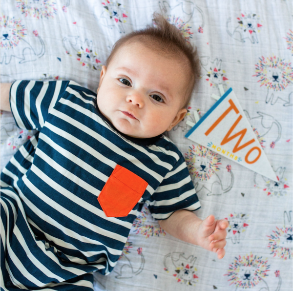 Lucy Darling Petit Milestone Pennants Lucy Darling - Babies in Bloom