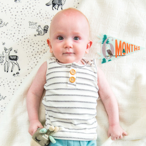 Lucy Darling Petit Milestone Pennants Lucy Darling - Babies in Bloom