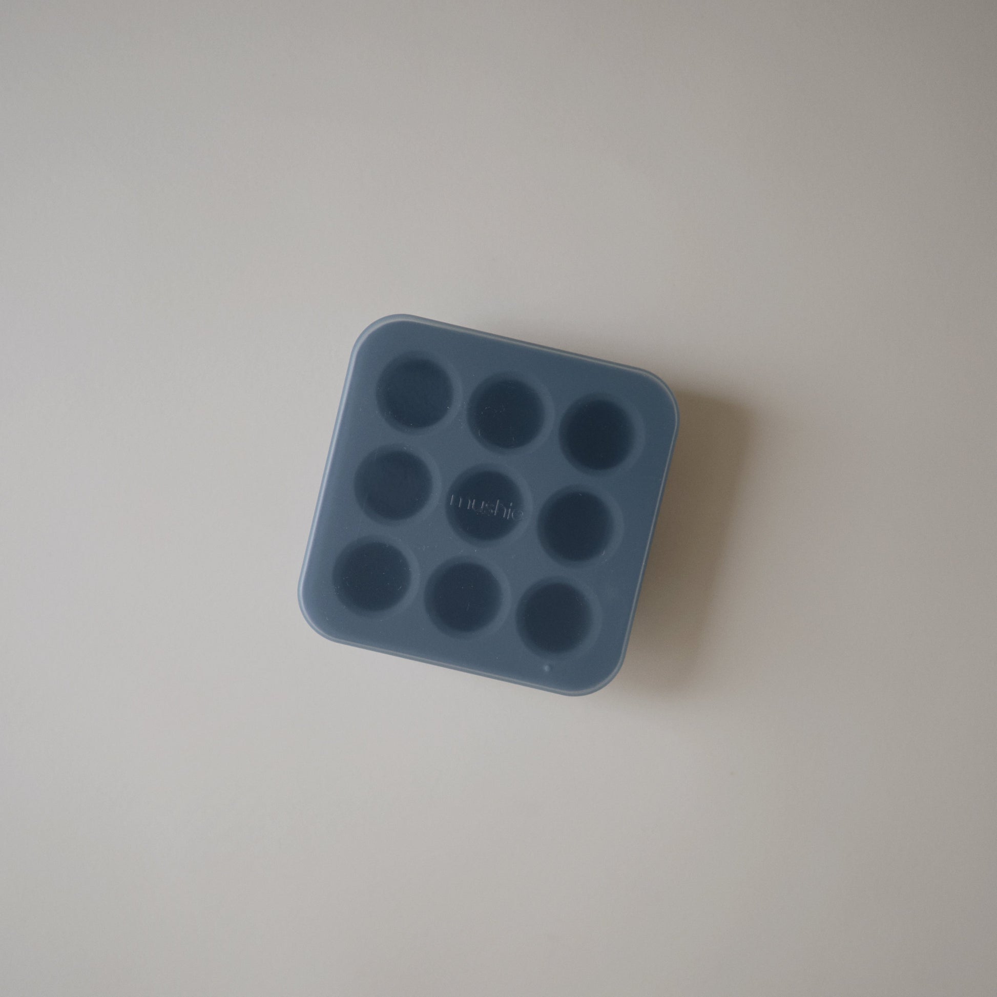 Fresh Food Feeder Freezer Tray - Babies in Bloom