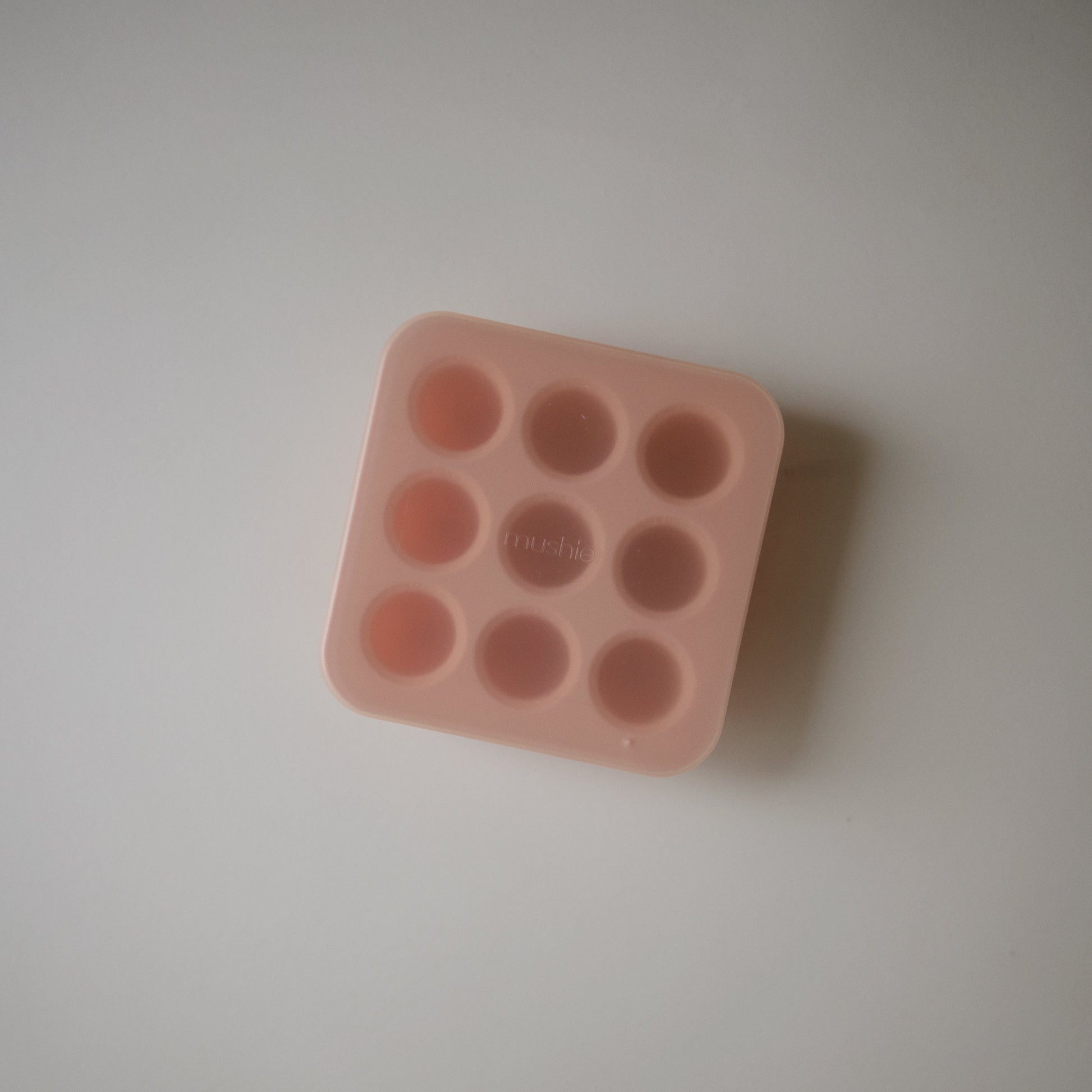 Fresh Food Feeder Freezer Tray - Babies in Bloom