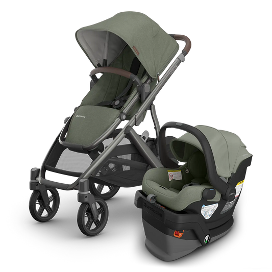 UPPAbaby Vista V3 + Mesa V3 Travel System - Babies in Bloom