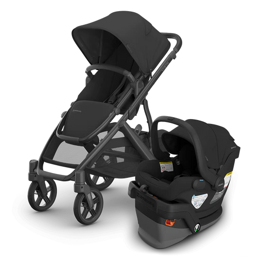 UPPAbaby Vista V3 + Mesa V3 Travel System - Babies in Bloom