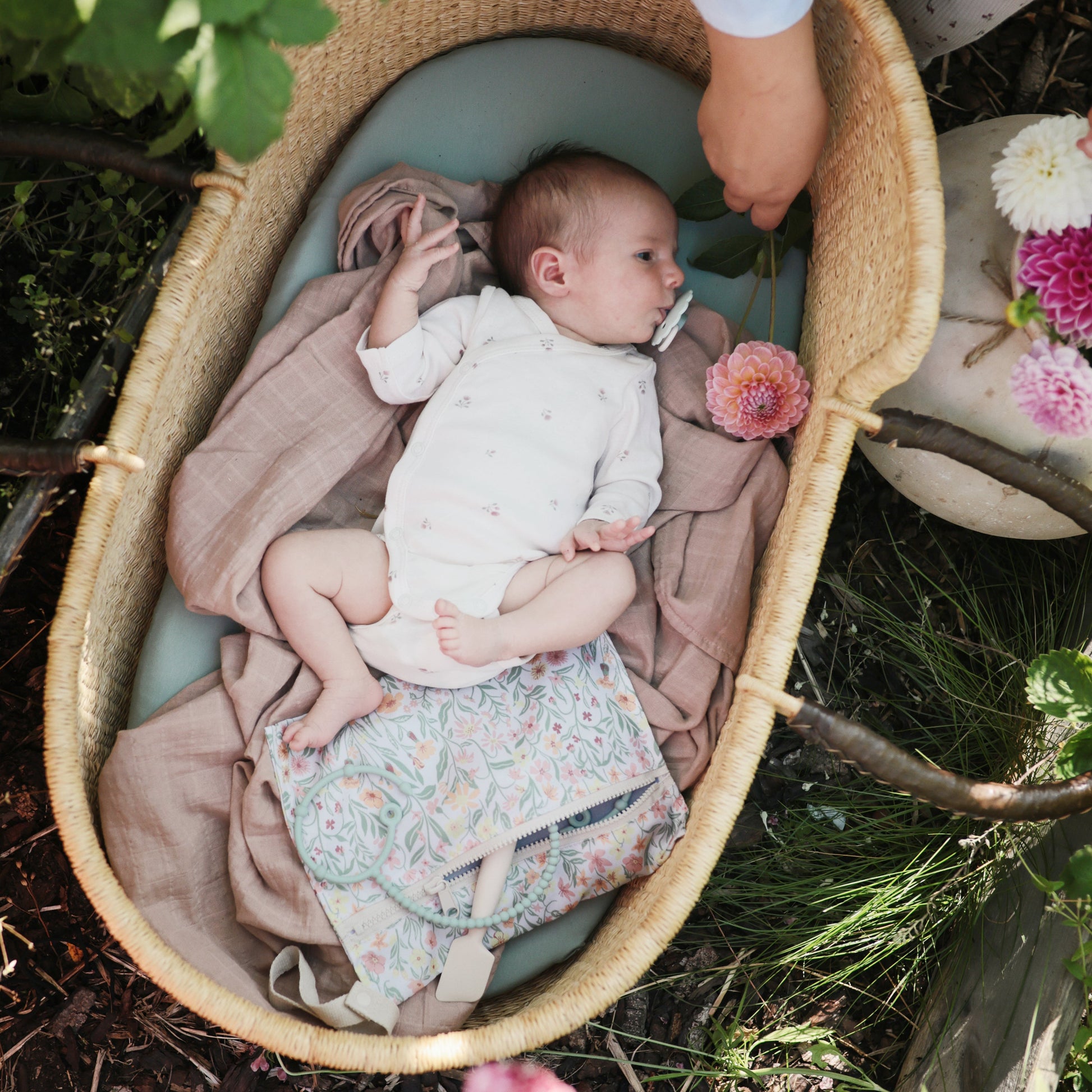 Diaper Cream Applicator - Babies in Bloom