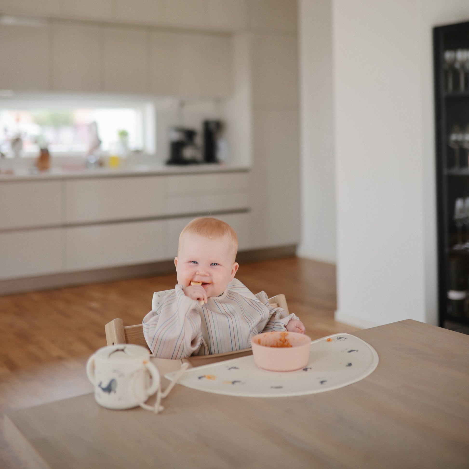 Long Sleeve Bib - Babies in Bloom