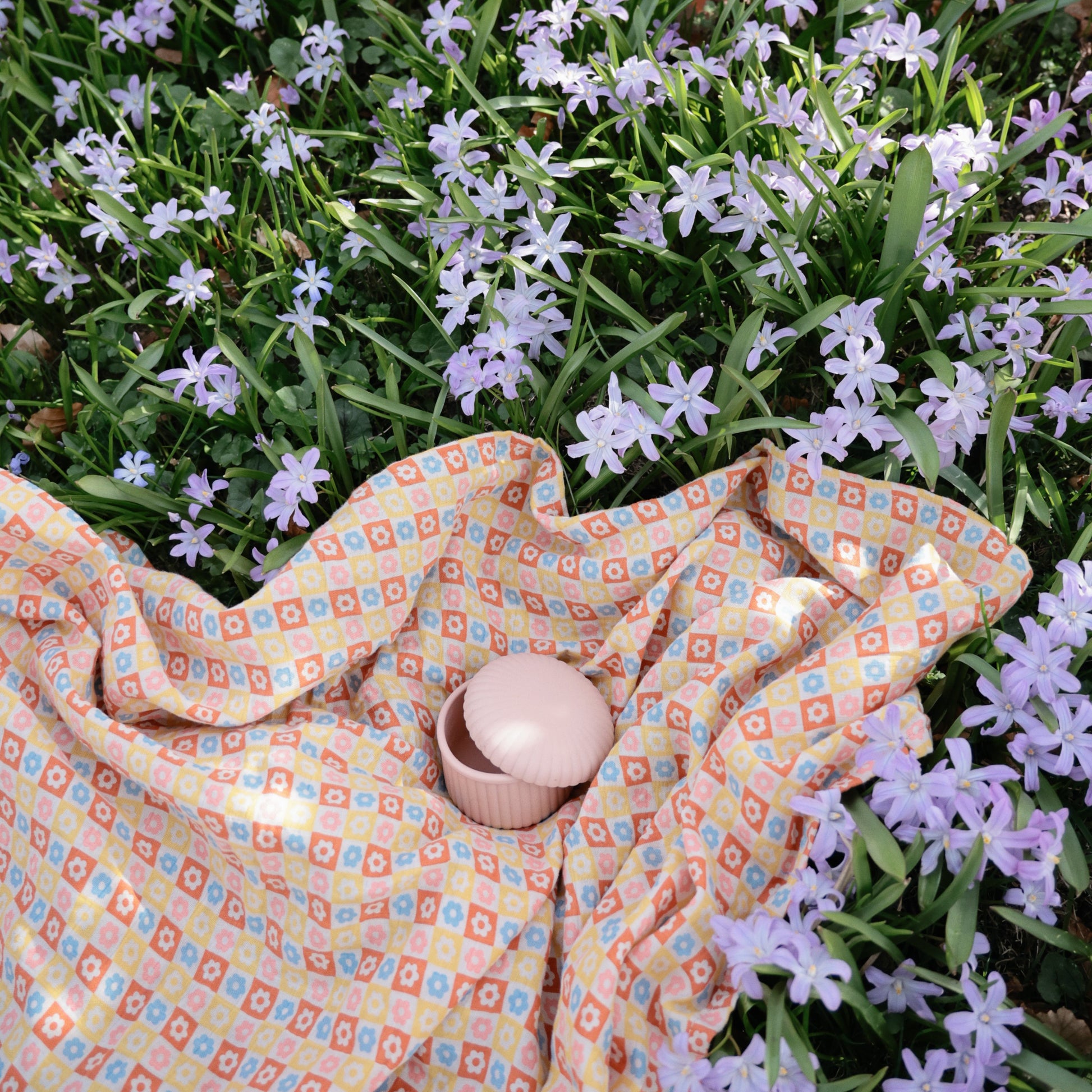 Silicone Baby Food Containers - Babies in Bloom