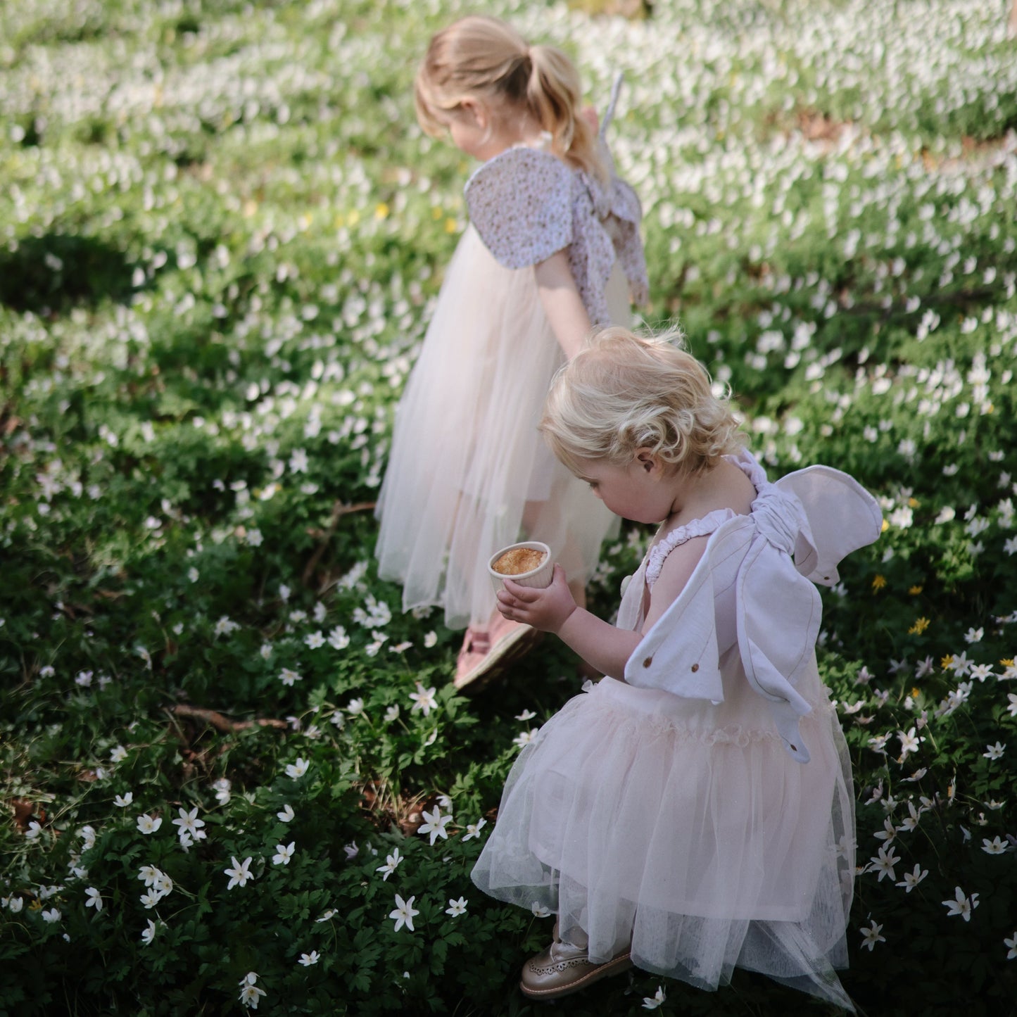 Silicone Baby Food Containers - Babies in Bloom