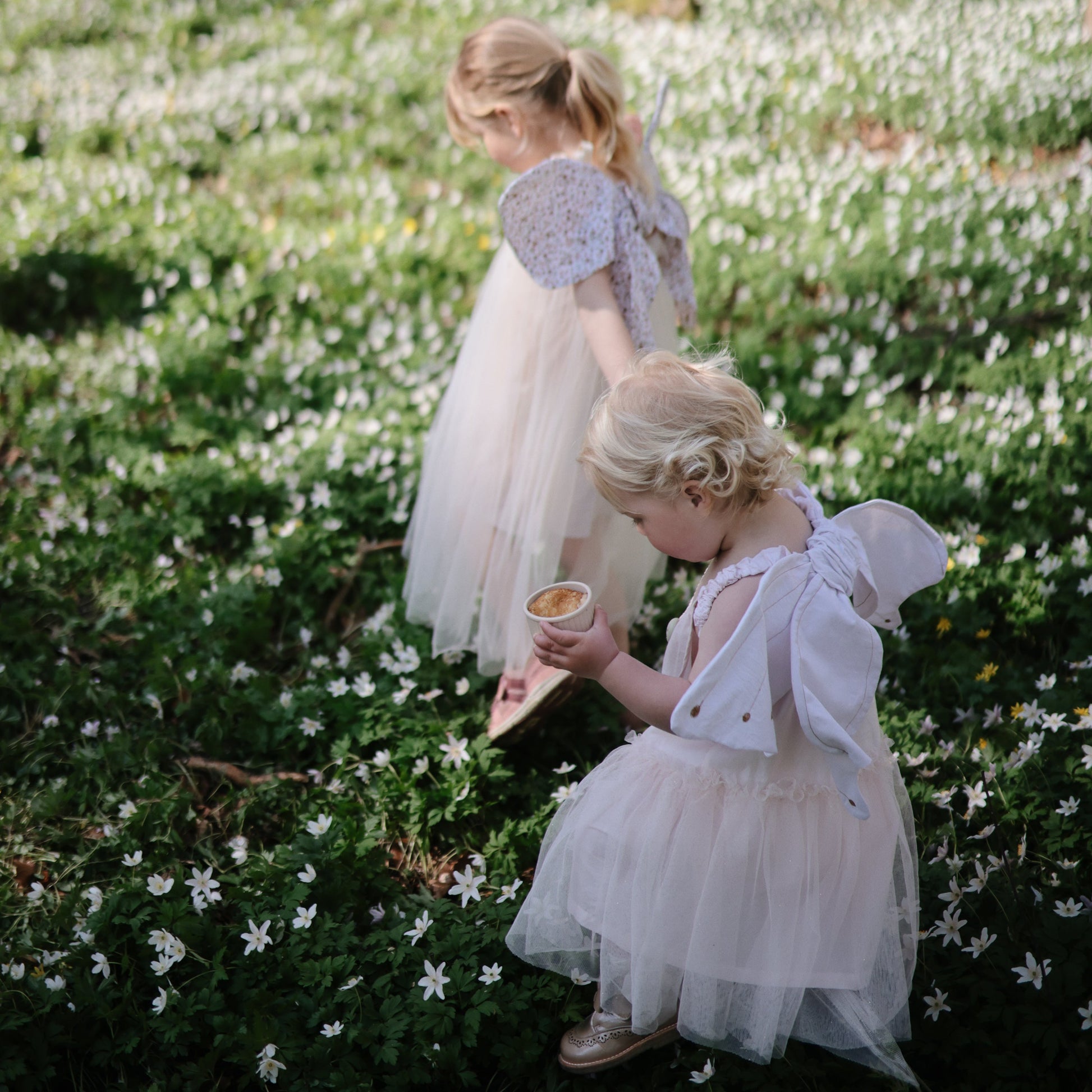 Silicone Baby Food Containers - Babies in Bloom