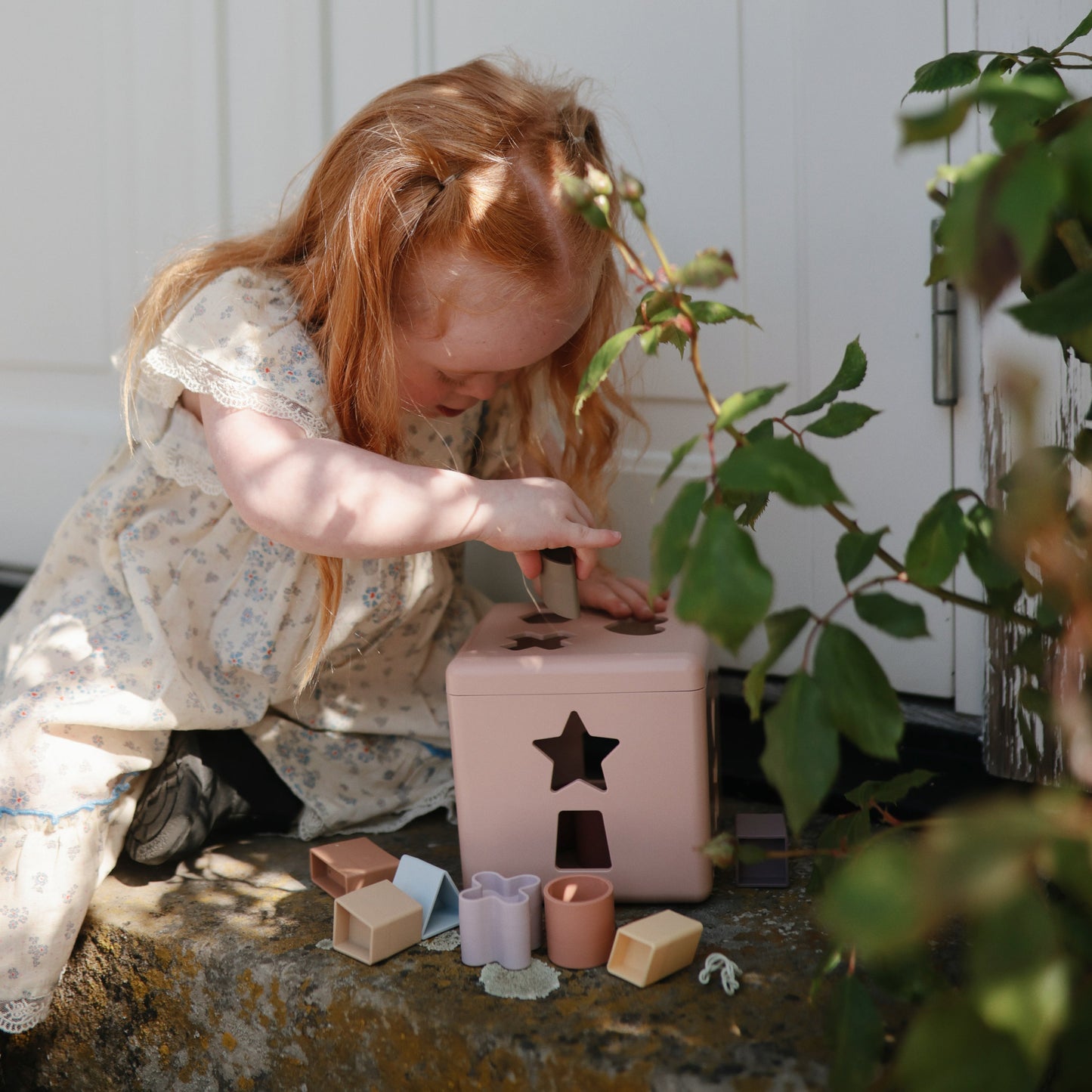 Shape Sorting Box - Babies in Bloom