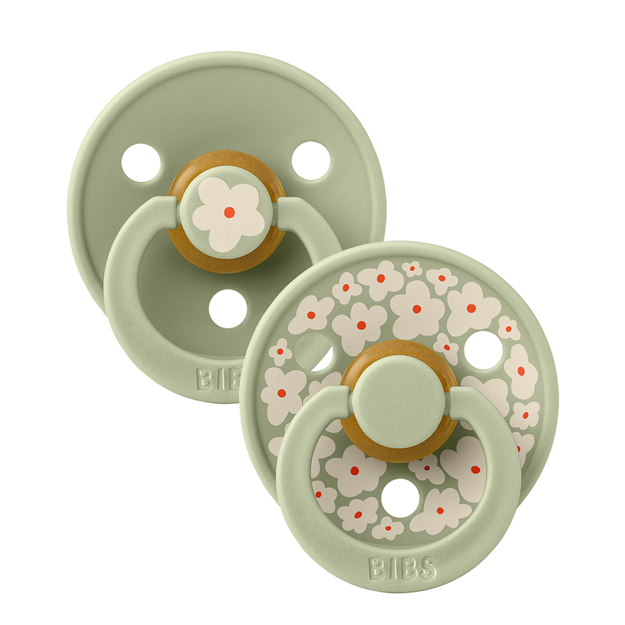 Bibs Studio Colour Pacifiers