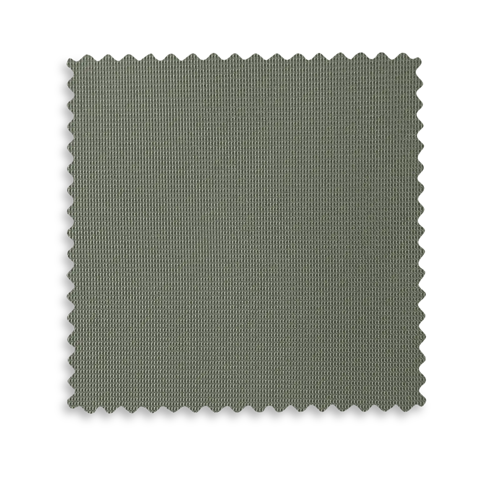 UPPAbaby Ridge V2 Strollers (Coming Soon!) - Babies in Bloom