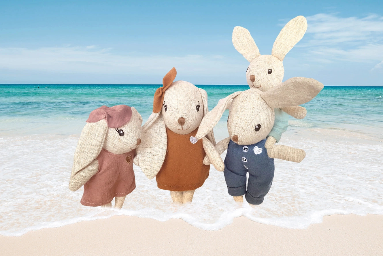 Speedy Monkey Rabbit Family