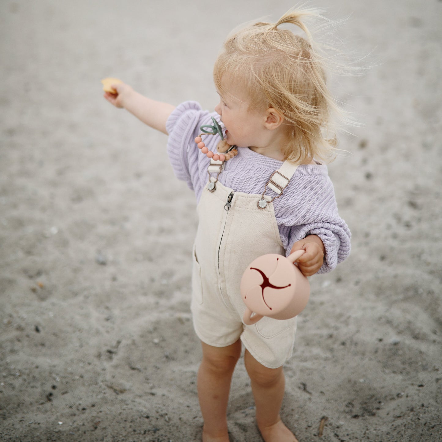 Silicone Pacifier Clip | Eva - Babies in Bloom