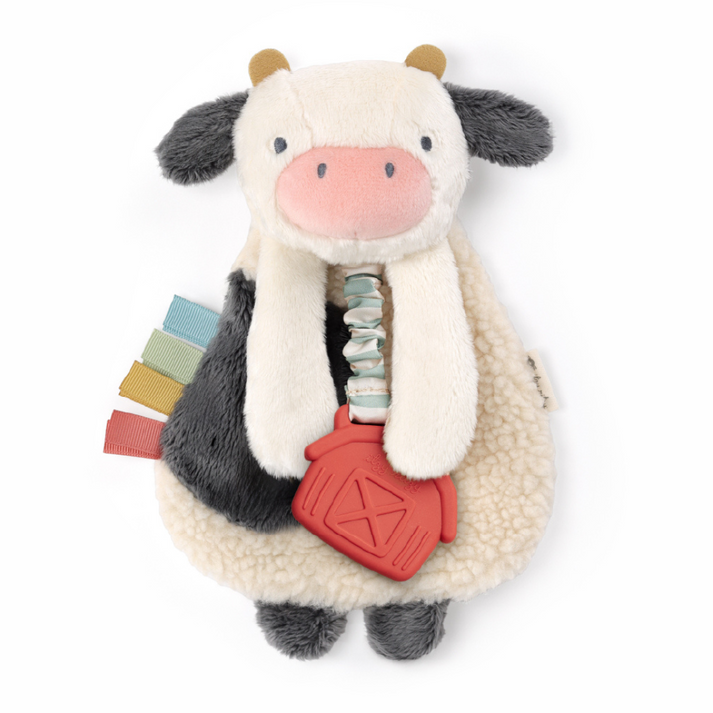 Itzy Ritzy Lovey Plush with Silicone Teether Toys