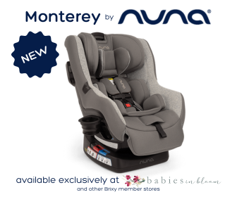 Nuna Rava Convertible Car Seat Black