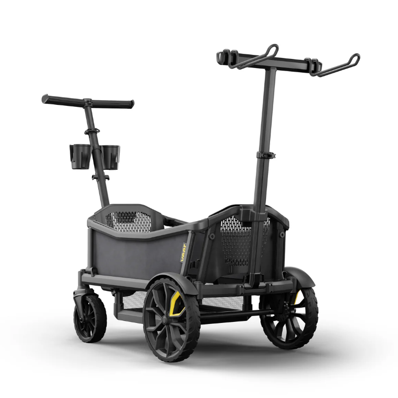 Veer Cruiser Rack (shipping in December)