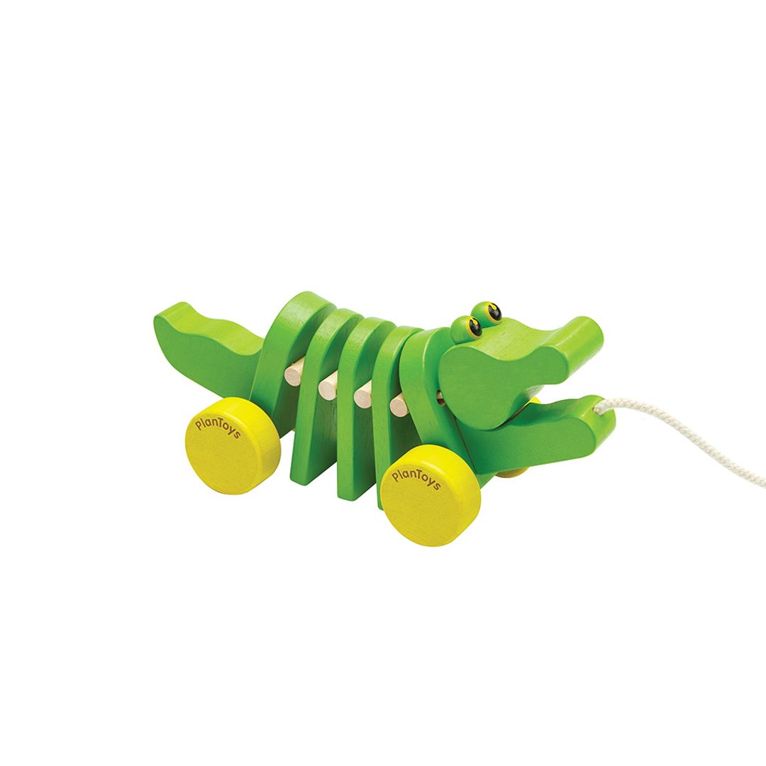 Dancing Alligator - Babies in Bloom