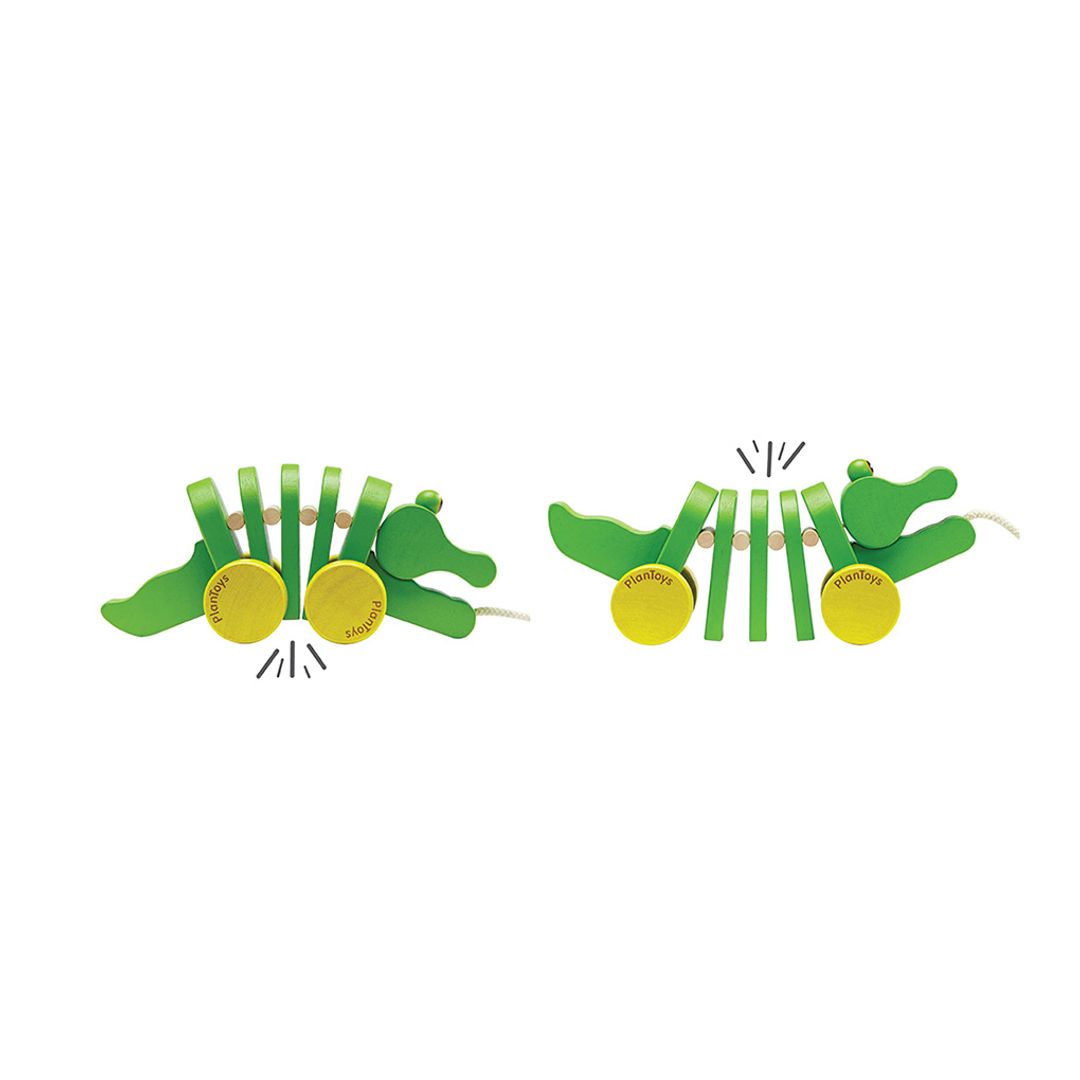 Dancing Alligator - Babies in Bloom