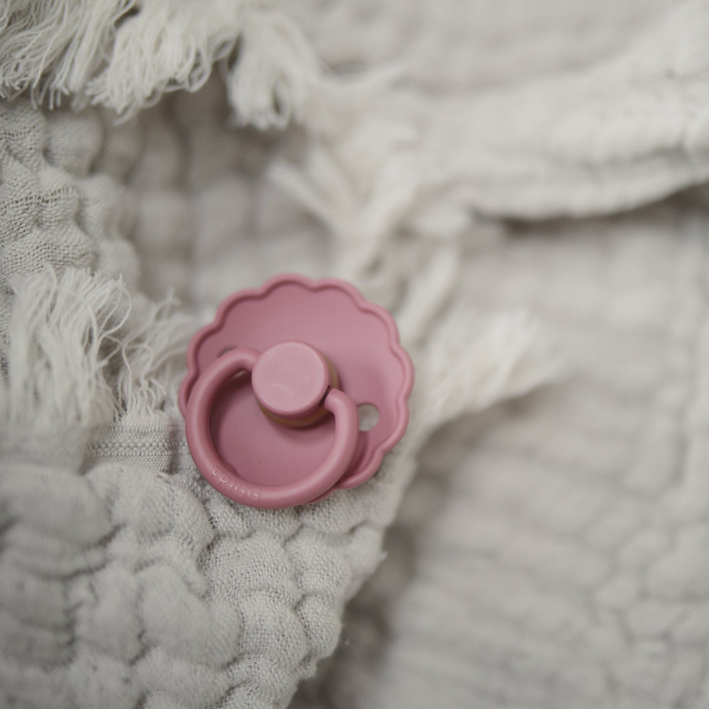 FRIGG Daisy Natural Rubber Pacifier 2-Pack - Babies in Bloom