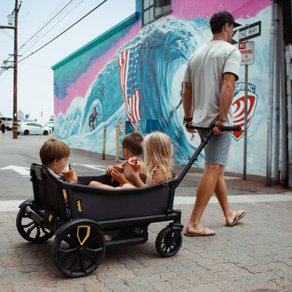 Veer All-Terrain Cruiser XL