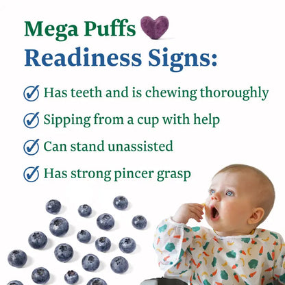 FoodNerd Inc. Blue Mega Puffs