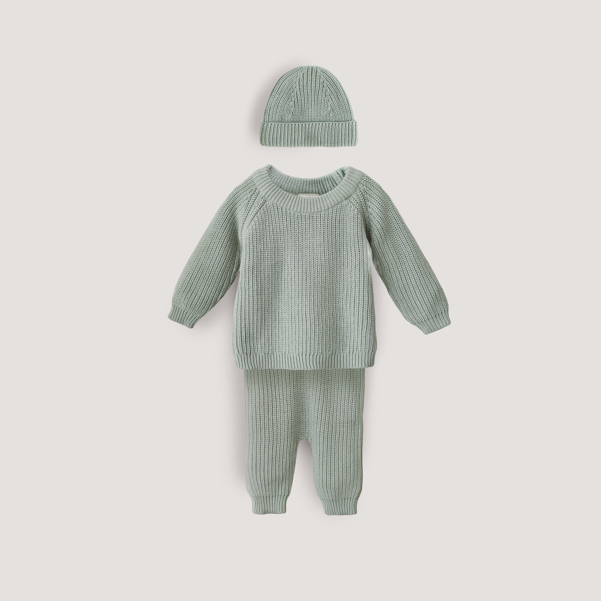 Chunky Knit Beanie - Babies in Bloom