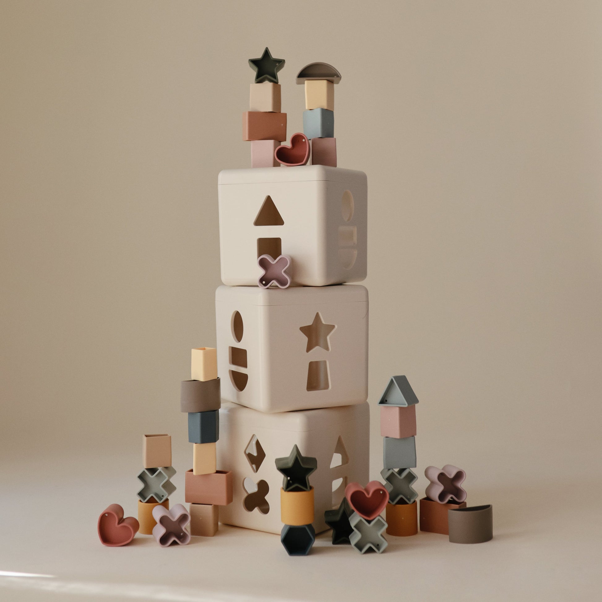 Shape Sorting Box - Babies in Bloom