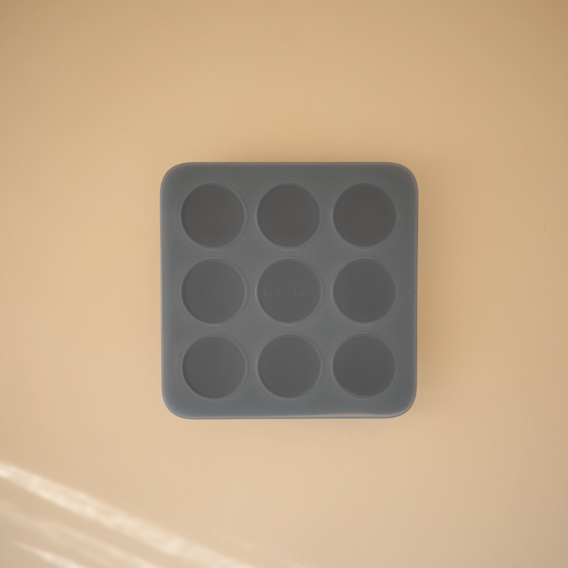 Baby Food Freezer Tray - Babies in Bloom