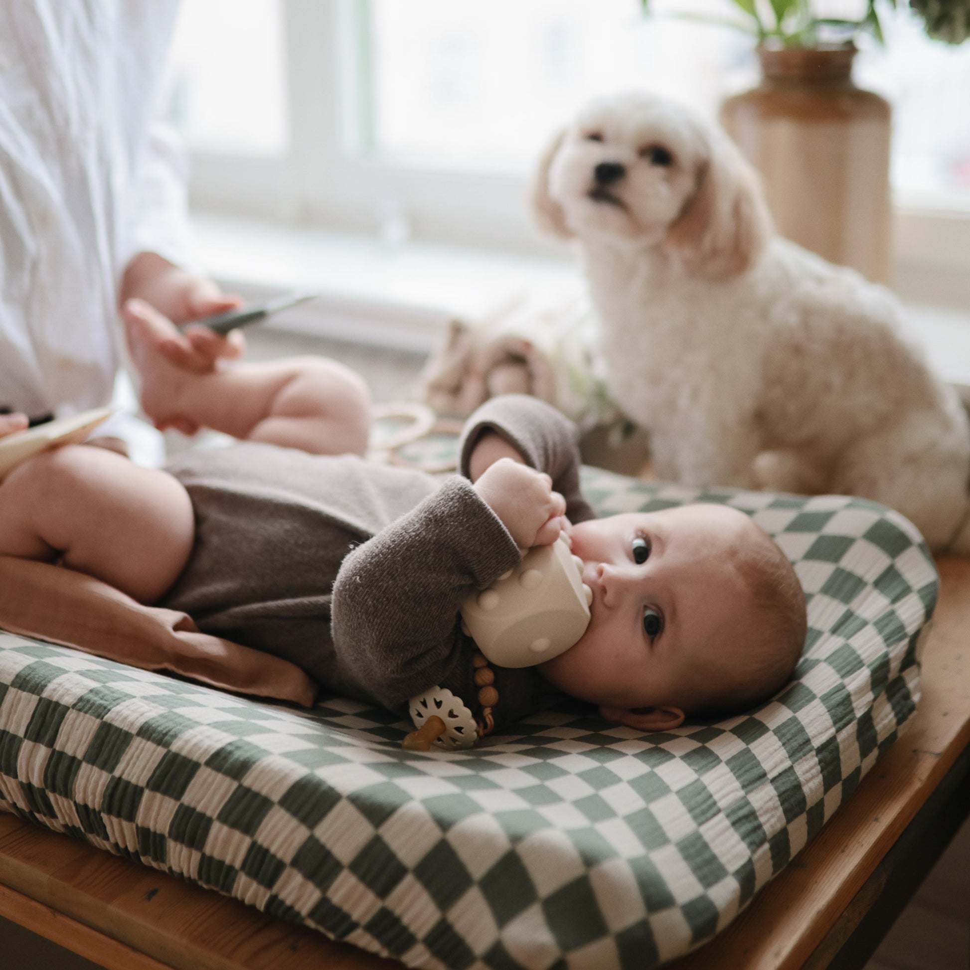Dice Press Toy - Babies in Bloom