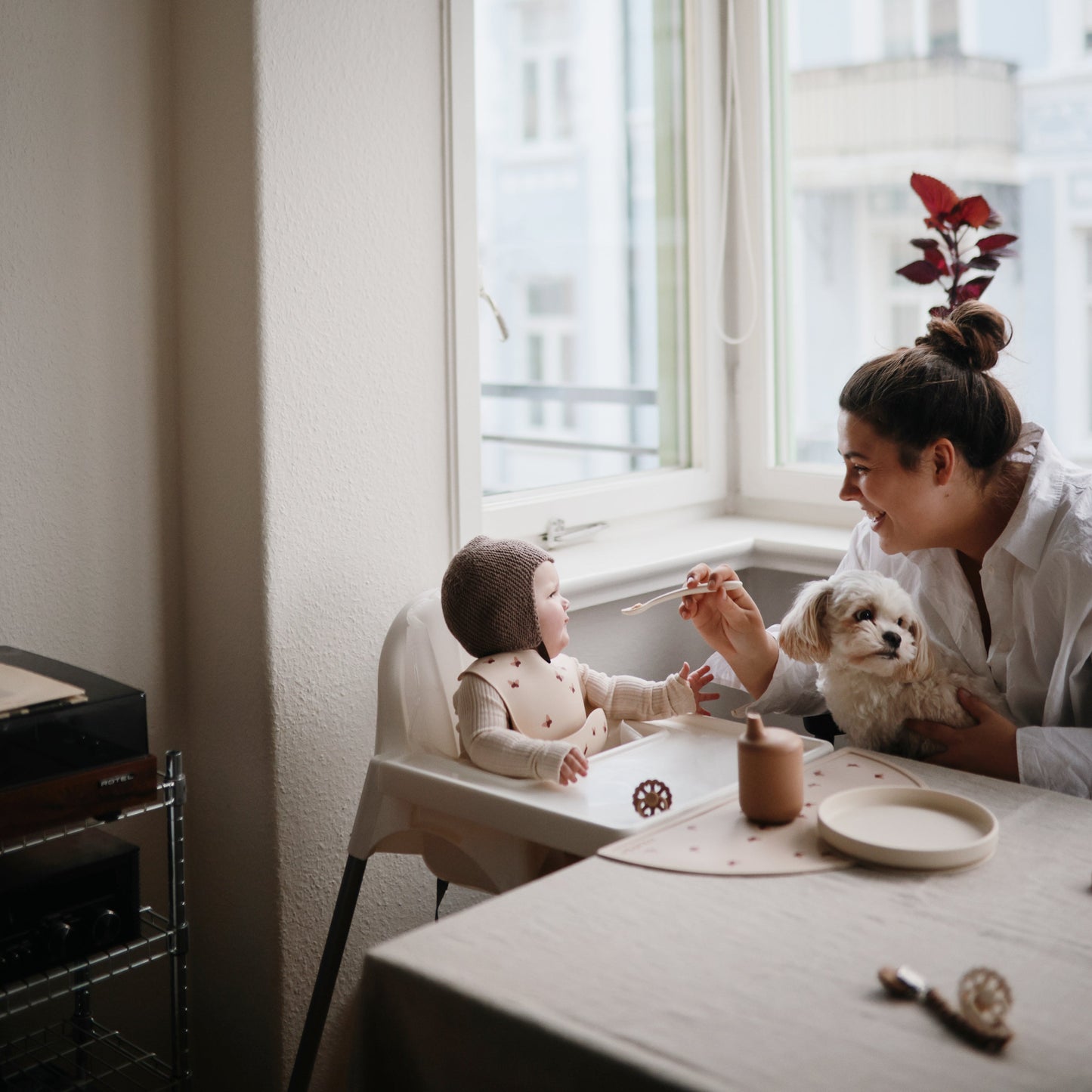 Classic Silicone Suction Plate - Babies in Bloom