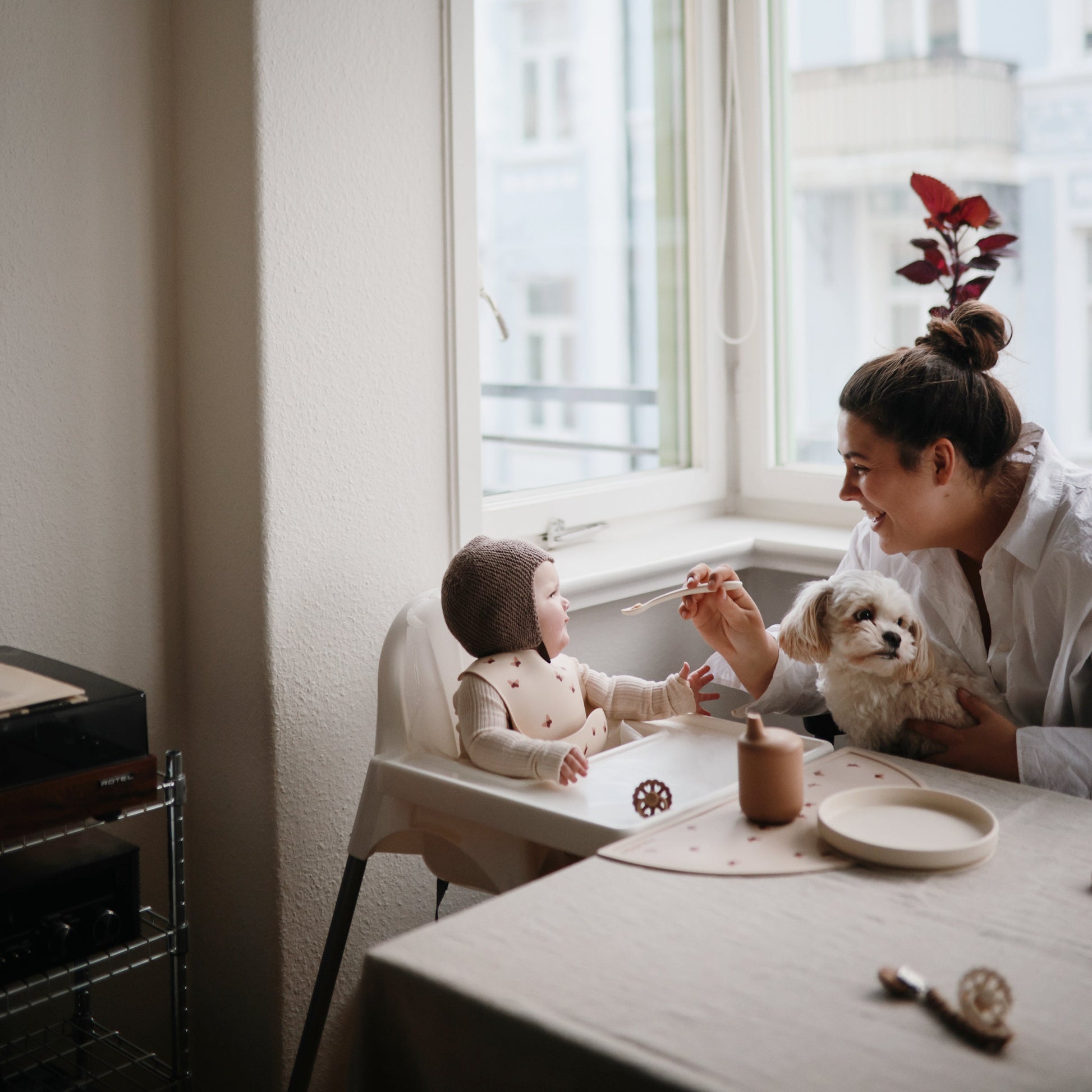 Classic Silicone Suction Plate - Babies in Bloom