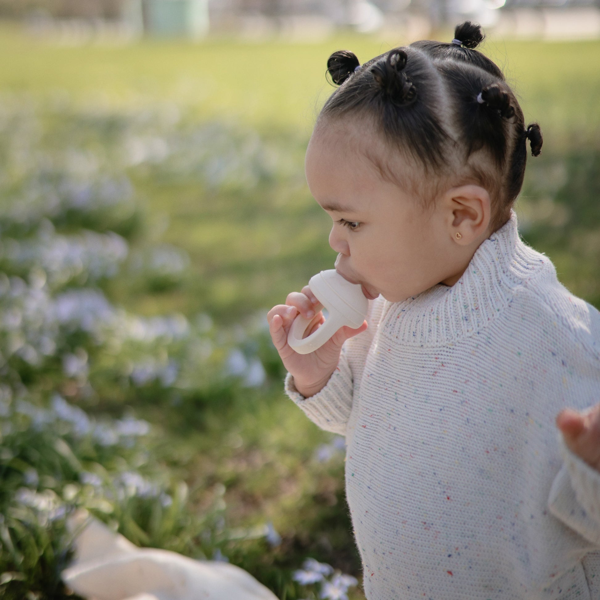 Silicone Fresh Food Feeder - Babies in Bloom