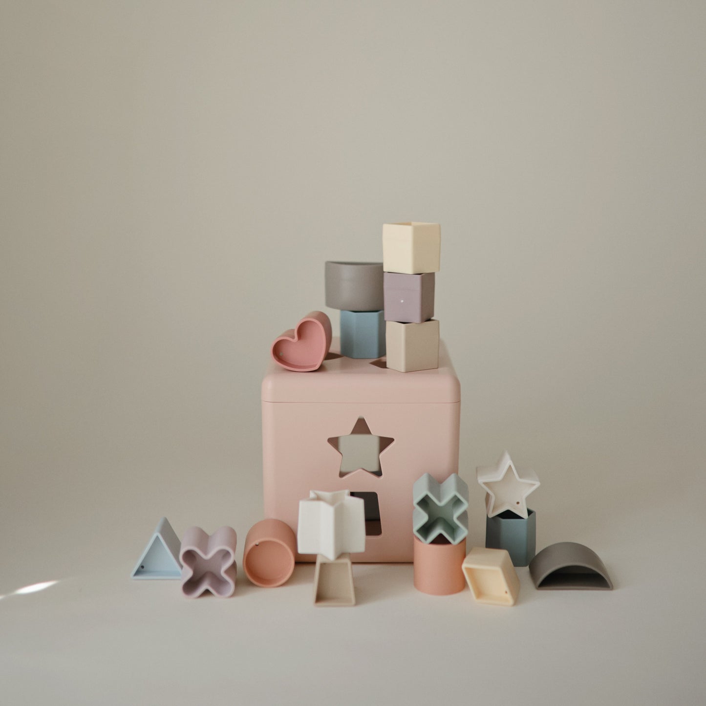 Shape Sorting Box - Babies in Bloom