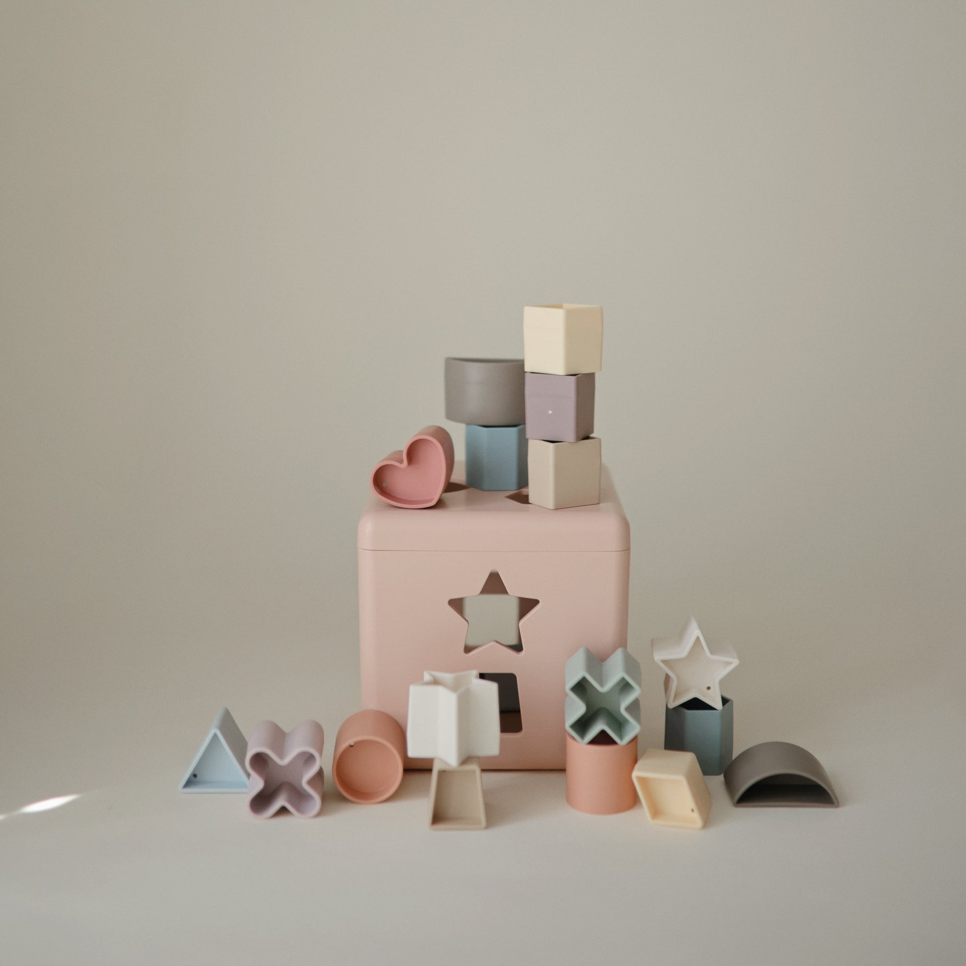 Shape Sorting Box - Babies in Bloom