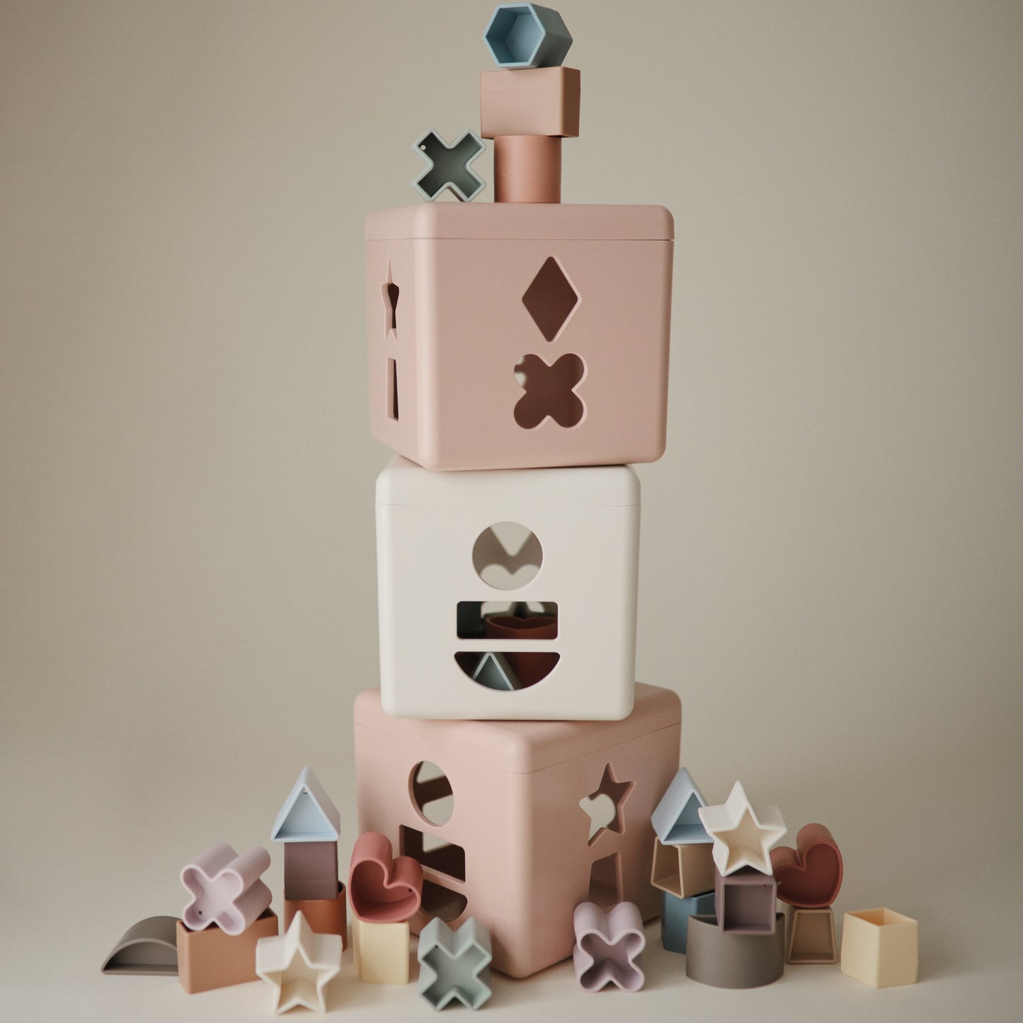 Shape Sorting Box - Babies in Bloom