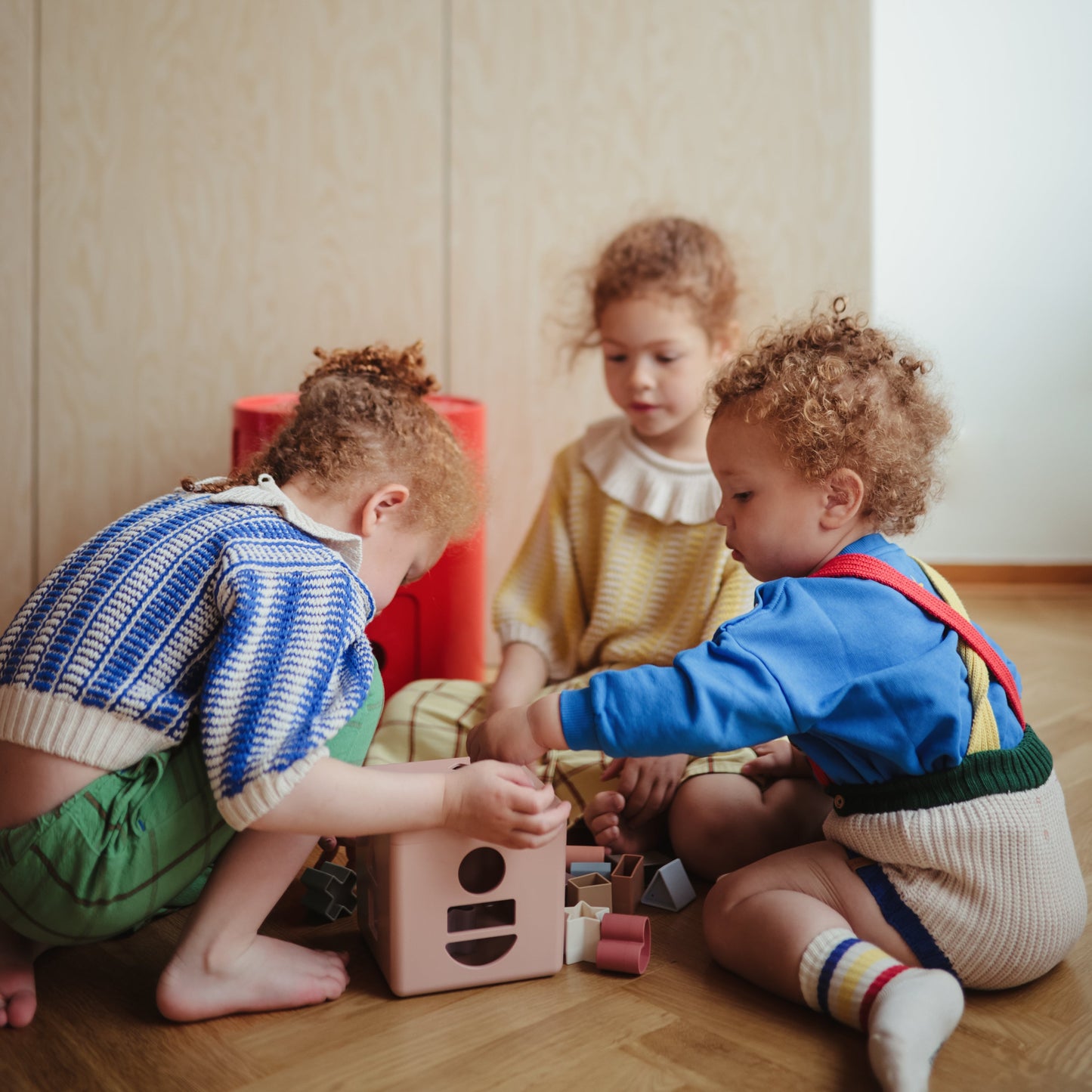 Shape Sorting Box - Babies in Bloom