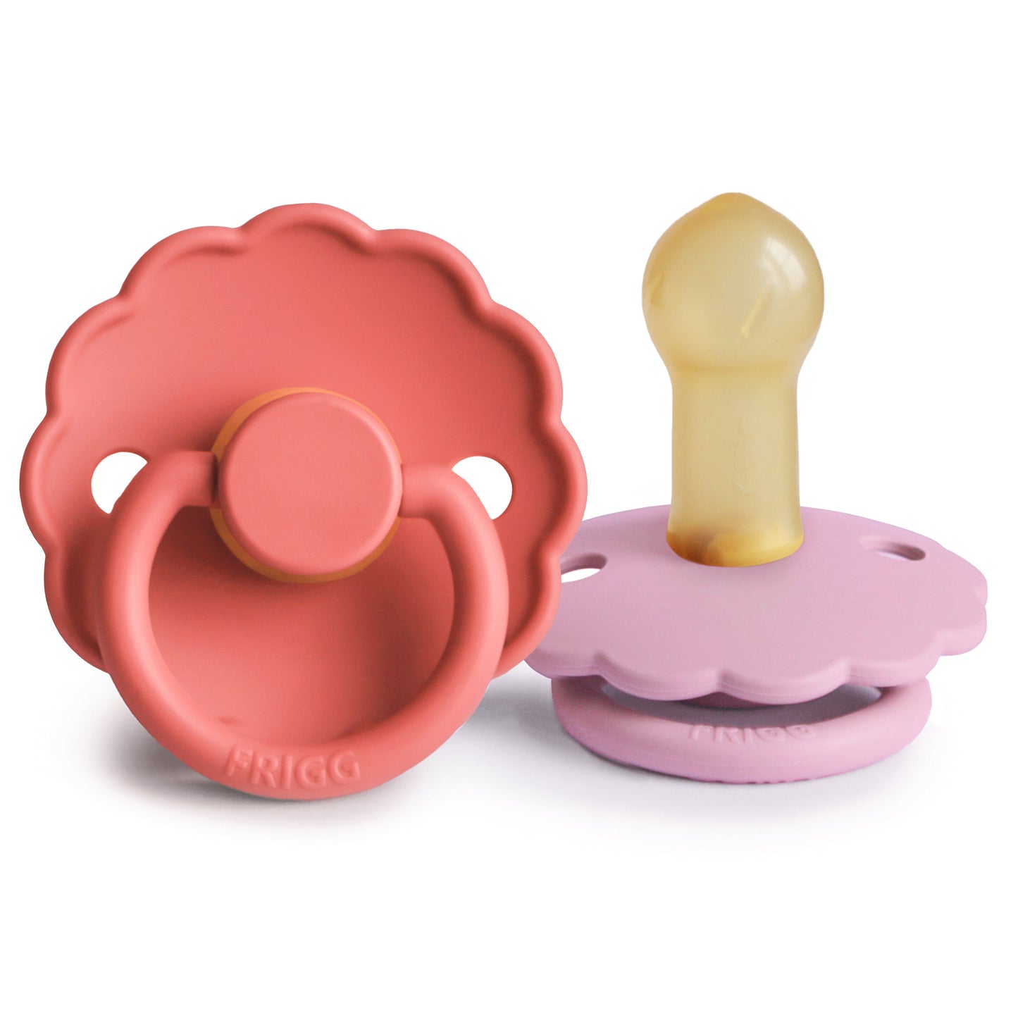 FRIGG Daisy Natural Rubber Pacifier 2-Pack - Babies in Bloom