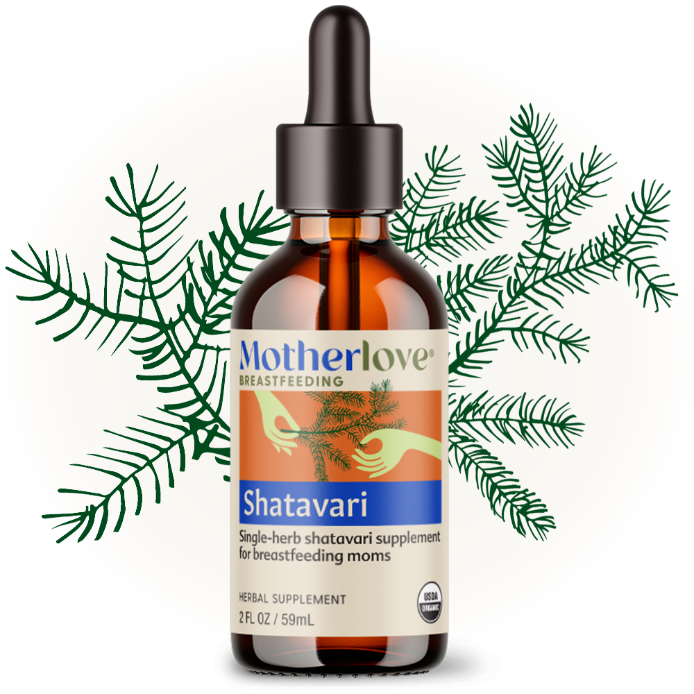 Motherlove Shatavari