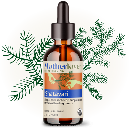 Motherlove Shatavari